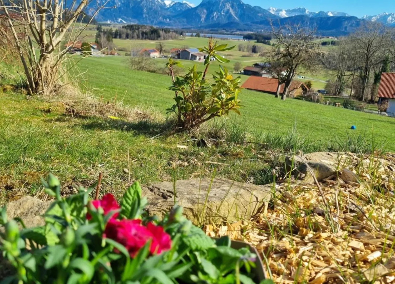 Apartment Landhaus Poppler Hopferau
