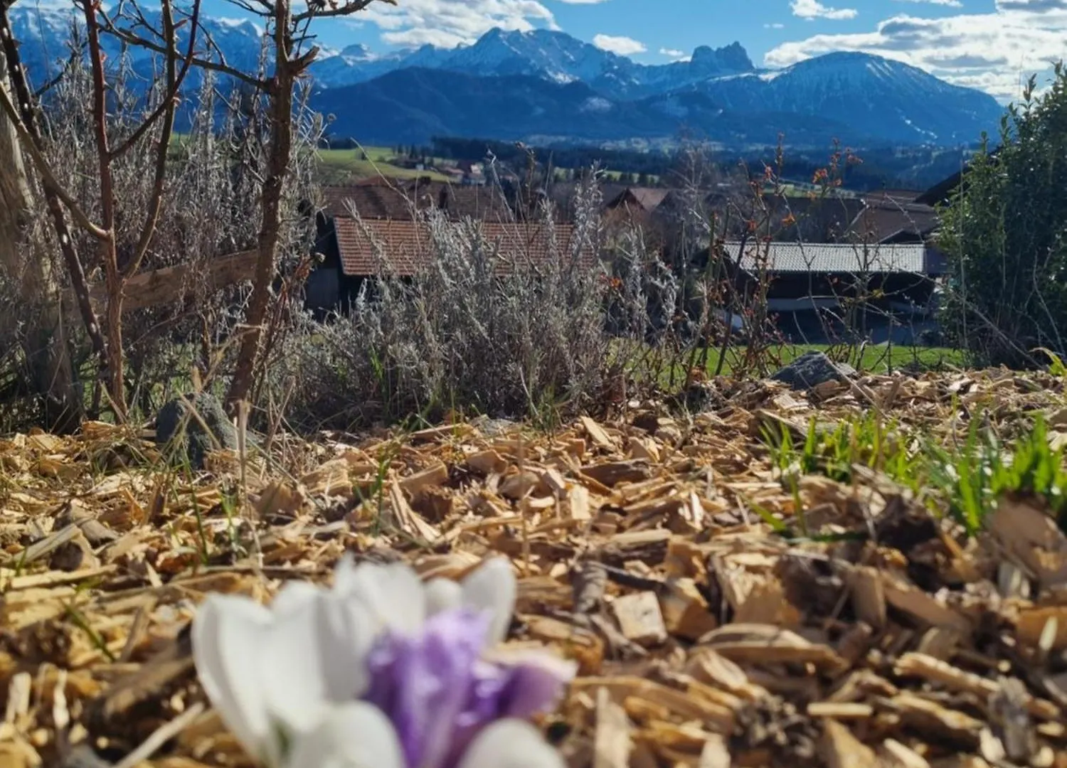 Landhaus Poppler Hopferau 0*,  Germany